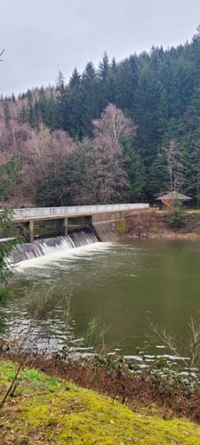 Talsperre Nonnweiler und Naturschutzgebiet Dollberg