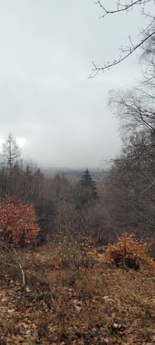 Talsperre Nonnweiler und Naturschutzgebiet Dollberg