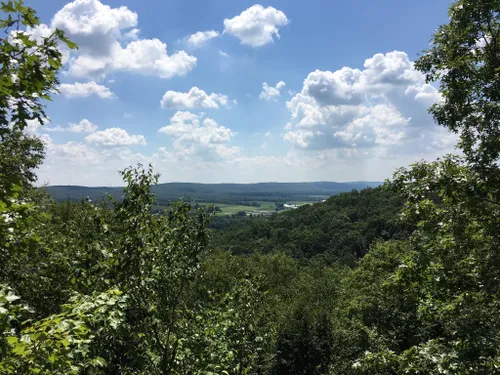 Best Hikes and Trails in Schooley's Mountain County Park