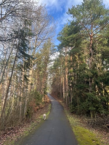 Rund um den Twistesee