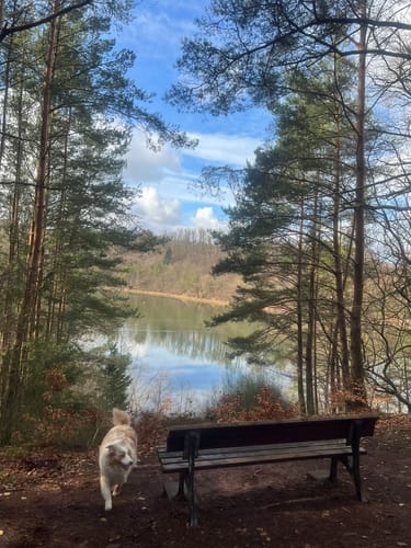Rund um den Twistesee