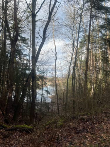 Rund um den Twistesee