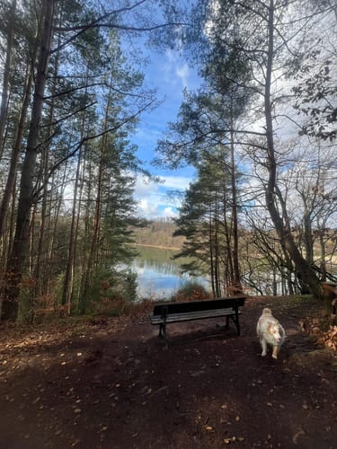 Rund um den Twistesee