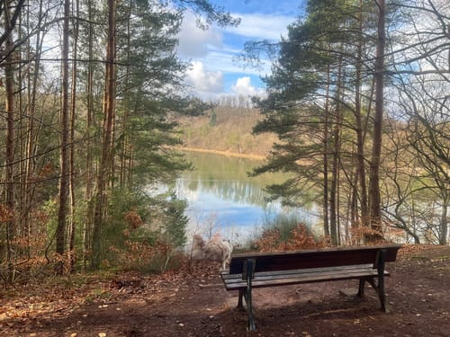 Rund um den Twistesee