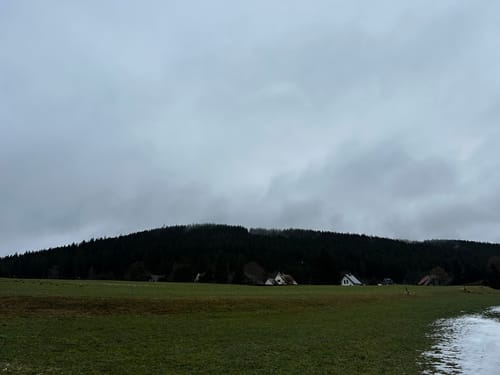 Westweg Etappe 9 West: Kalte Herberge - Hinterzarten
