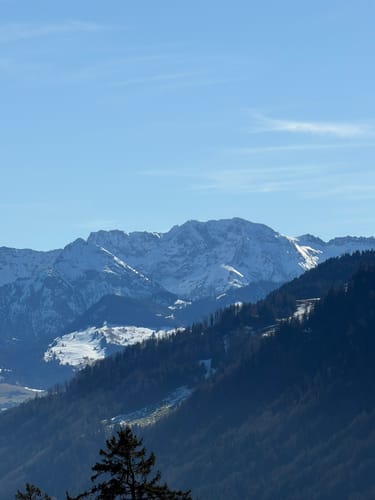 Vom Alpsee zur Siedelalpe