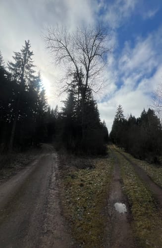 Um den Wipperberg