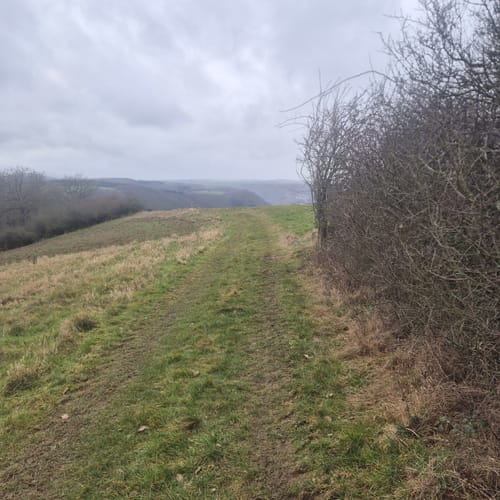 Premiumwanderpfad: Bergschluchtenpfad Ehrenburg