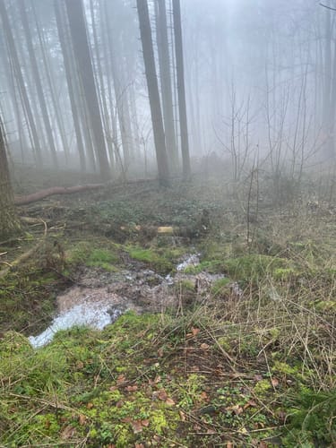 Rundwanderweg Am Scheppel 3: Krappendellenweg