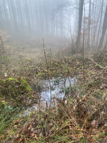 Rundwanderweg Am Scheppel 3: Krappendellenweg