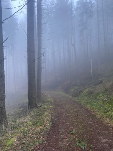 Rundwanderweg Am Scheppel 3: Krappendellenweg