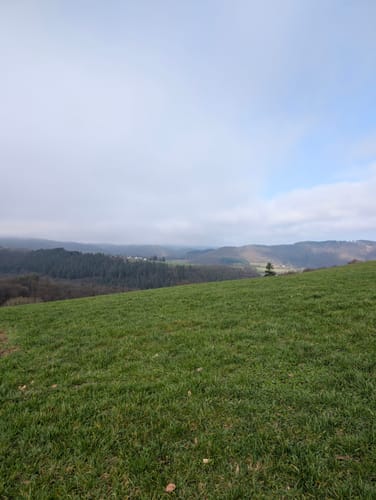 Runde um Waldbreitbach