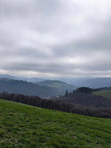 Runde um Waldbreitbach