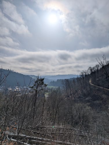 Runde um Waldbreitbach