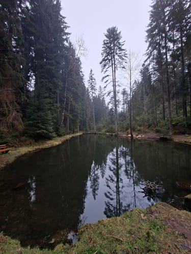 Wasserrad Paradies