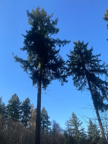Oberer Mühlweg und Teufelslochweg