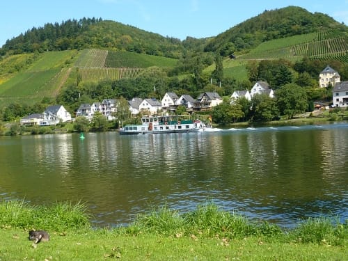 Mosel-Our-Weg Etappe 1: Alf an der Mosel - Bad Bertrich