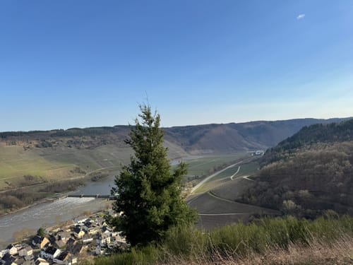 Zitronenkrämerkreuz (Premiumwanderweg)