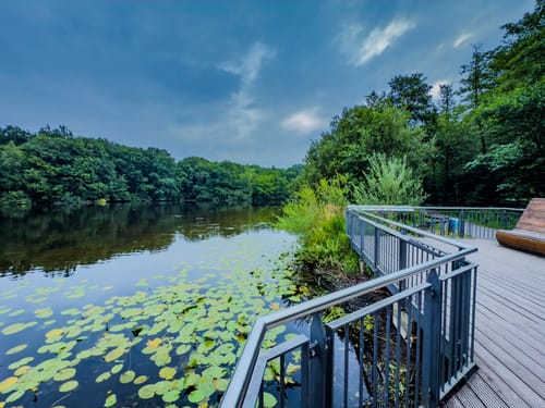Beversee Rundweg