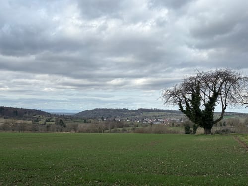 BR12 Obergrombacher Burgweg