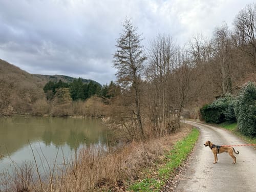 Entlang dem Großbach