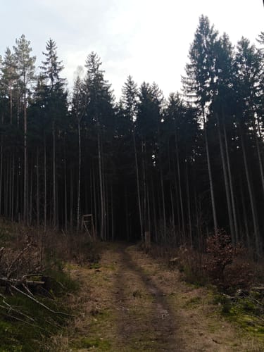 Eisenberger Mühltal Rundweg