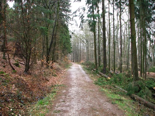 Um den Atzelberg