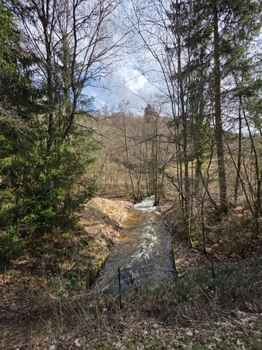 Trauntal-Höhenweg (Premiumwanderweg)