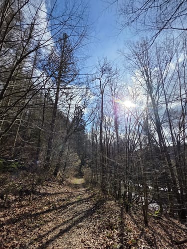 Trauntal-Höhenweg (Premiumwanderweg)