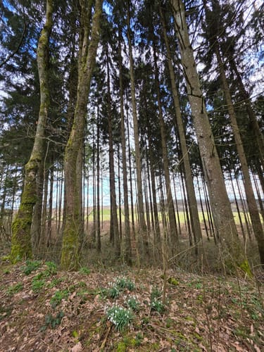Trauntal-Höhenweg (Premiumwanderweg)