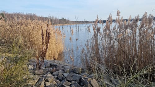 Die große 8
