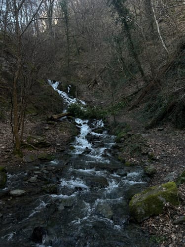 Laubachtal Rundwanderung