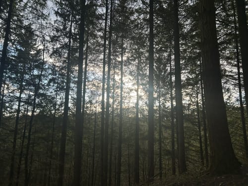 Laubachtal Rundwanderung