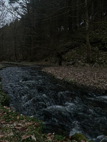 Laubachtal Rundwanderung