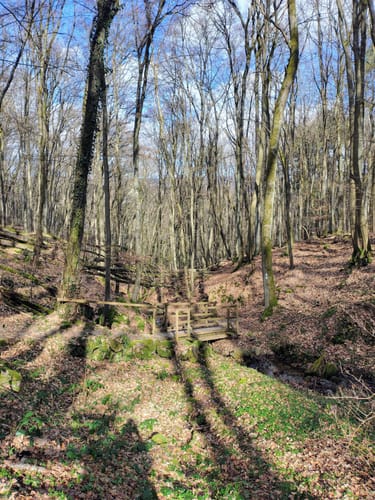 Michels Vitaltour (Premiumwanderweg)
