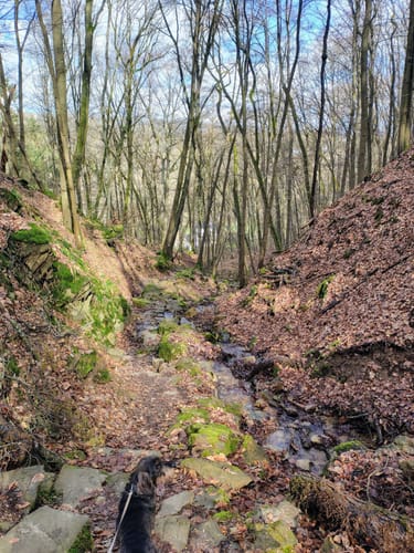 Michels Vitaltour (Premiumwanderweg)