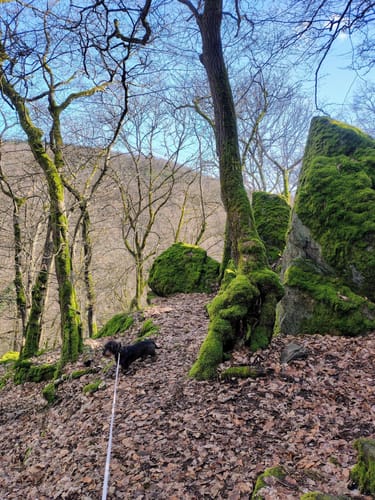 Michels Vitaltour (Premiumwanderweg)