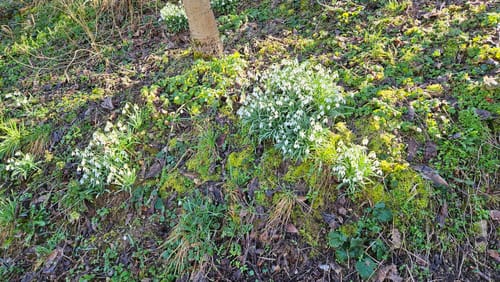 Wildgrafenweg (VitalTour)
