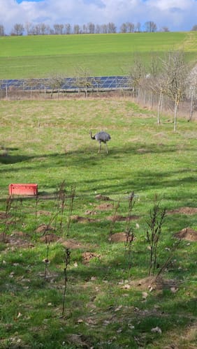 Wildgrafenweg (VitalTour)