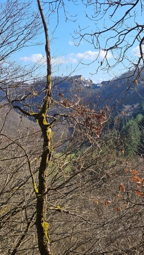 Wildgrafenweg (VitalTour)