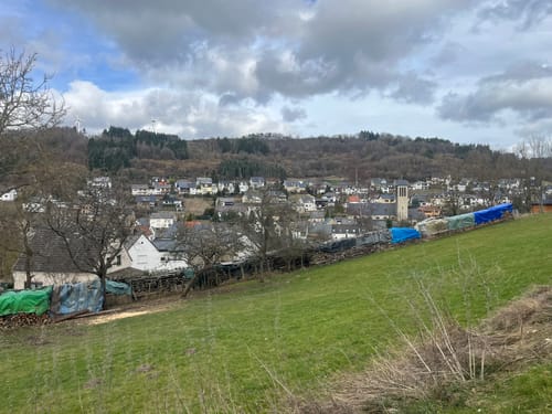 Waldseepfad Rieden (Traumpfad)