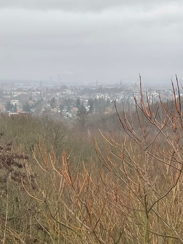 Rundwanderweg Darmstadt 1: Ludwigshöhen-Weg