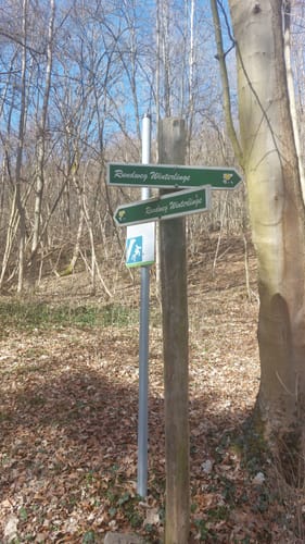 Rundweg Winterlinge