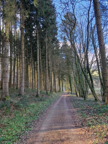 Von Tawern nach Metzenberg und Kümmern