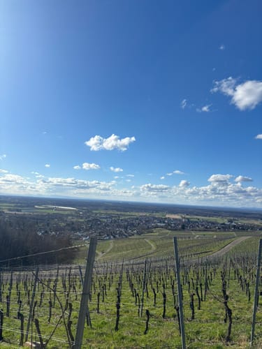 Tour zum Fremersberg