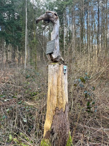 Gisonenpfad (Premiumwanderweg)