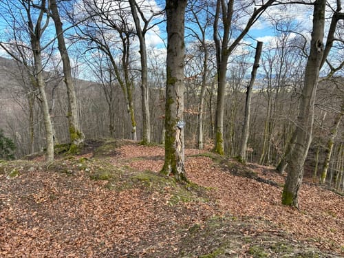 Gisonenpfad (Premiumwanderweg)