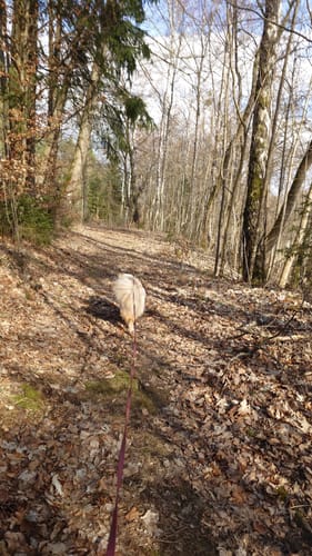 Rundwanderweg Reinhardsbrunn