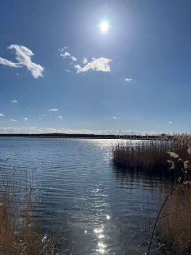 Um den Raßnitzer See