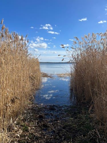 Um den Raßnitzer See